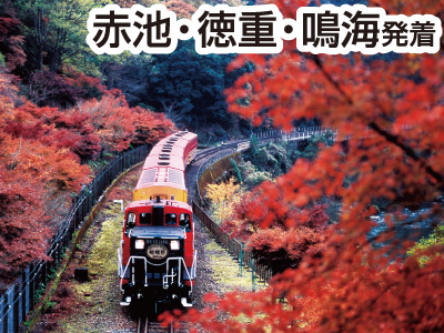 ｶｯｺｰﾂｱｰ嵯峨野ﾄﾛｯｺ列車&屋形船(2019)