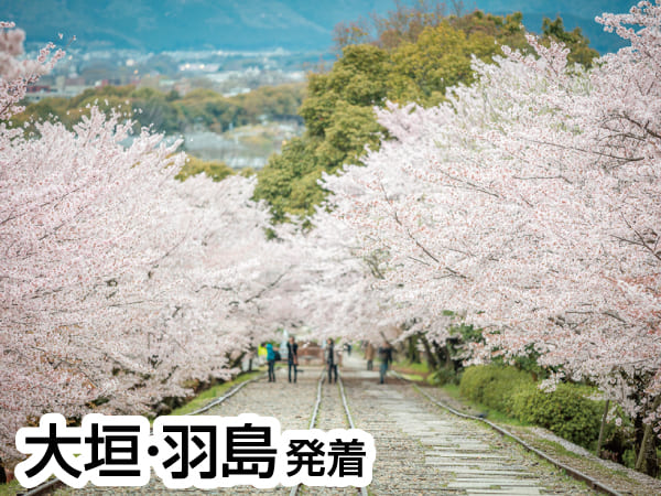 春の嵐山と紅しだれ桜(2024)