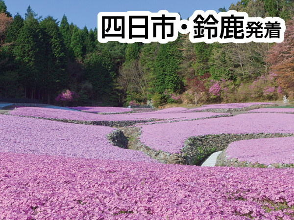 芝桜・花のじゅうたん(2024)