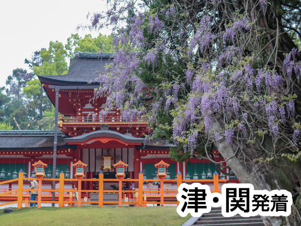 春日大社と奈良公園さんぽ(2024)
