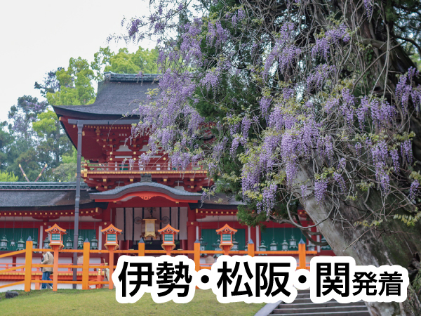 春日大社と奈良公園さんぽ(2024)